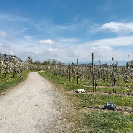 Garni Vitamari Vendégház 3*