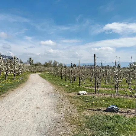Guest house Garni Vitamari Wasserburg am Bodensee